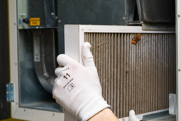 Best Local Air Duct Cleaning Services  in Gold River, CA