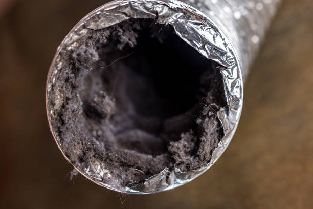 Best Residential Air Duct Cleaning  in Gold River, CA